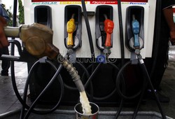 Wajib Solar Campur 20% Minyak Sawit Bisa Serap 6,8 Juta Ton Biodiesel