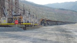 Arifin Panigoro Pernah Surati Kemenkeu Soal Saham Newmont