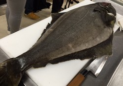 Begini Cara Membuat Fillet Ikan Ohyo