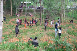 Taman Bunga di Gunungkidul Sudah Rusak, Apa Solusinya?