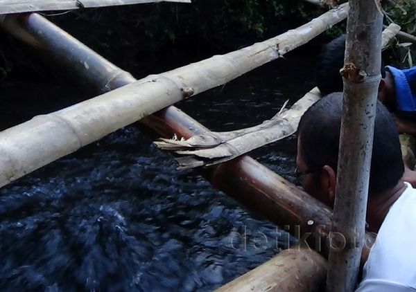 Sawah Tandus di Probolinggo Semburkan Air