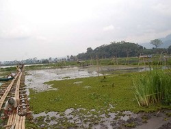 El Nino Berpotensi Datang Lagi di 2016, Ini Langkah Kementan