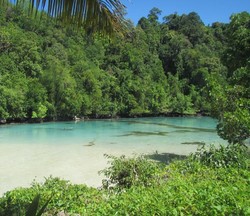 Laguna Cantik di Pulau Kakaban