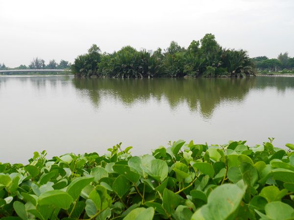 Mencari Ketenangan di Pinggir Kota Ho Chi Minh