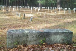 Pemakaman Unik di Amerika, Nisannya Bentuk Lolipop