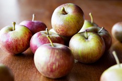 Italia Ajak Warganya Konsumsi Produk Lokal Saat Natal