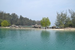 Pantai Semak Daun