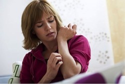 Ingin Kurangi Atau Hilangkan Kawanan Nyamuk di Rumah? Ini Tipsnya