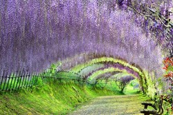 Punya Banyak Uang? Coba Datangi 5 Tempat Ini Tahun Depan