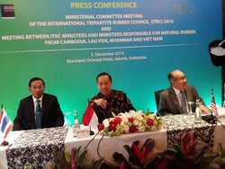 Harga Karet Anjlok, Tom Lembong Rapat Bersama Mentan Thailand-Malaysia