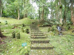 Sudut-sudut Cantik Kebun Raya Cibodas
