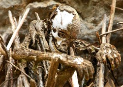 Mumi Mengerikan Ada di Papua Nugini