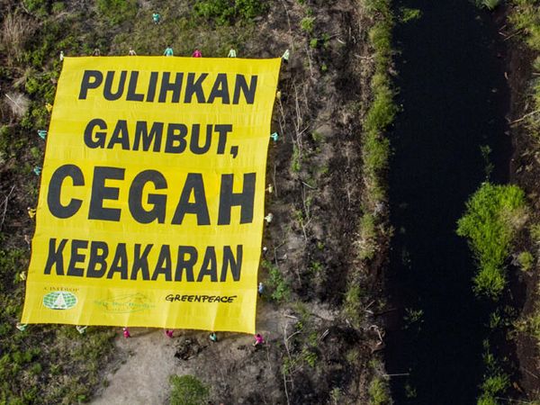 Selamatkan Lahan Gambut Cegah Kebakaran Selamatkan Lahan Gambut Cegah Kebakaran