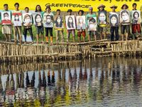 Boomerang Ikut Aksi Penyelamatan Hutan