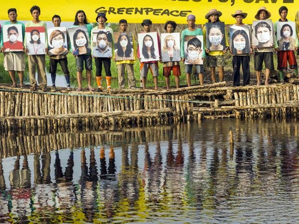 Boomerang Ikut Aksi Penyelamatan Hutan