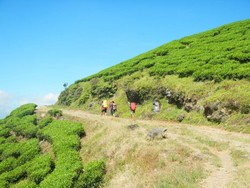 Seperti Ini Serunya Jalur Kampung IV Gunung Dempo