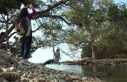 Kutang, Pantai baru nan Unik di Lamongan