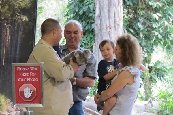 Liburan Bareng Koala & Kanguru