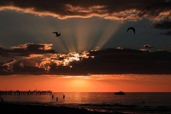 Adelaide Alami Malam Terpanas di Bulan Desember Sejak 1897