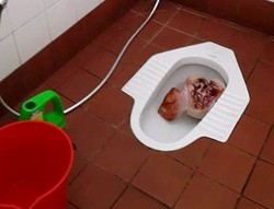 Kepala Babi Dibuang di Toilet Dekat Musala Universitas Western Australia