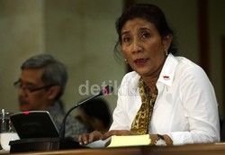 Susi: Banyak yang Butuh, Susah Tak Impor Ikan Salmon