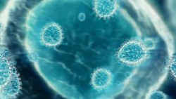 Wabah Flu Babi Tewaskan 33 Orang di Iran