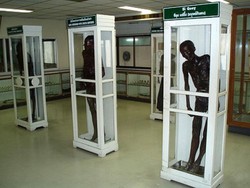 Uji Nyali di Museum Kedokteran Siriraj, Bangkok