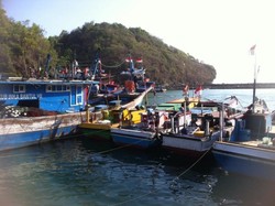 Menengok Hasil Melaut Nelayan di Pantai Sadeng, Gunungkidul
