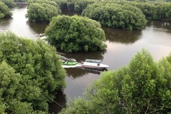 Kencan Romantis di Jakarta, Ini 4 Tempatnya