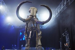 Suguhan Tak Biasa dari Mal di Abu Dhabi: Fosil Mammoth Raksasa