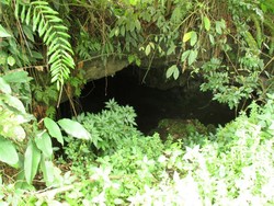 Wah, Ada Gua Kelelawar di Sumatera Utara