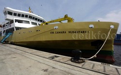 Dulu Kirim Sapi dari NTT ke Jakarta 2 Bulan, Sekarang Cuma 5 Hari