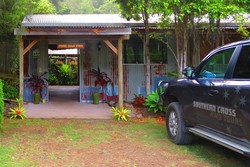 Bruum! Jelajah Mobil 4WD ke Hutan Rimba Australia