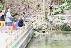 Ini Turis-turis yang Jatuh Cinta Pada Ambon