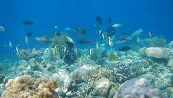 Dengan Alam Secantik Ini, Siapa yang Tak Tergoda ke Sombori?