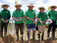 Penanaman Mangrove di Telaga Waja Tengkulung