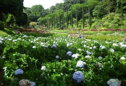 Taman di Eropa? Bukan, Ini Selecta di Kota Batu