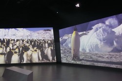 Pertama di Dunia, Pengalaman Antartika Interaktif di Phillip Island, Australia