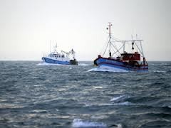 Susi Ungkap Modus Baru Kapal Asing Curi Ikan di Laut RI