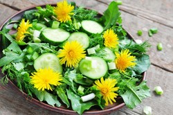 Dandelion dan Apple Blossom, Bunga Cantik yang Dapat Dimakan (1)