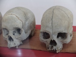 Kisah Tengkorak Keramat yang Disembah di Maluku