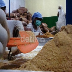 Potensi Gula Semut Asal Banyumas Diklaim Terbesar di Dunia