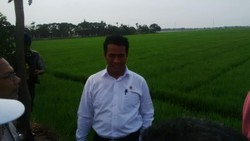 Mentan Klaim Hapus Program Bersayap Sejak Awal 2015