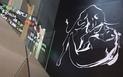 Melesat 72 Poin, IHSG Parkir di 4.555