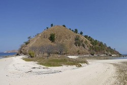 Pulau Kecil yang Menawan di Flores