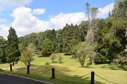 Wisata Alam di Kebun Raya Eka Karya, Bali