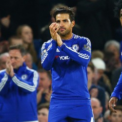 Fabregas dan Costa Disoraki Fans, Steve Holland: Mereka Punya Hak untuk Kecewa