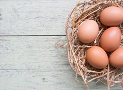 Minyak dan Telur Jadi Topik Bahasan Menarik pada 2015 (1)