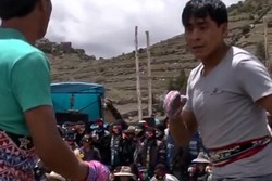 Cuma di Peru, Festival Tinju di Hari Natal