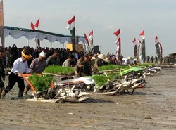 Mentan: Kenapa Harga Padi dan Jagung Bagus? Menterinya Perangi Impor